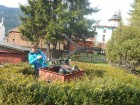 Masinaria infernala parcul pompierilor tusnad